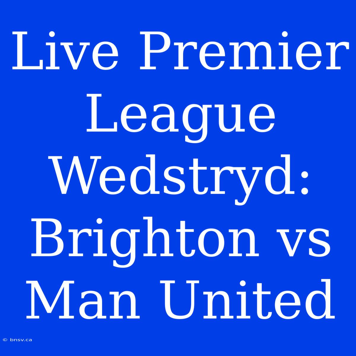 Live Premier League Wedstryd: Brighton Vs Man United