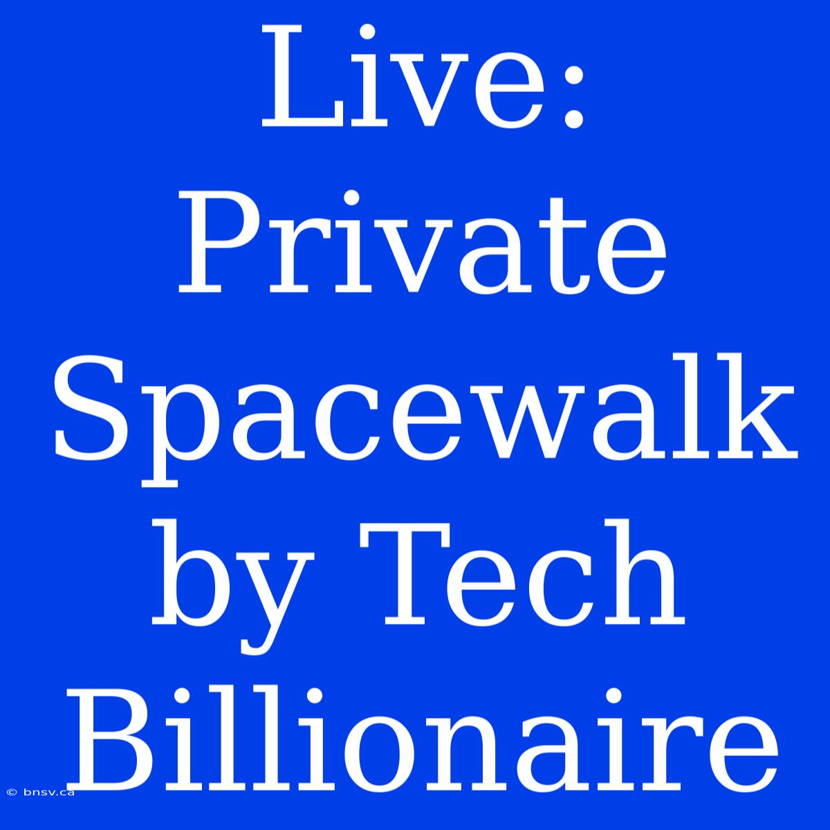 Live: Private Spacewalk By Tech Billionaire