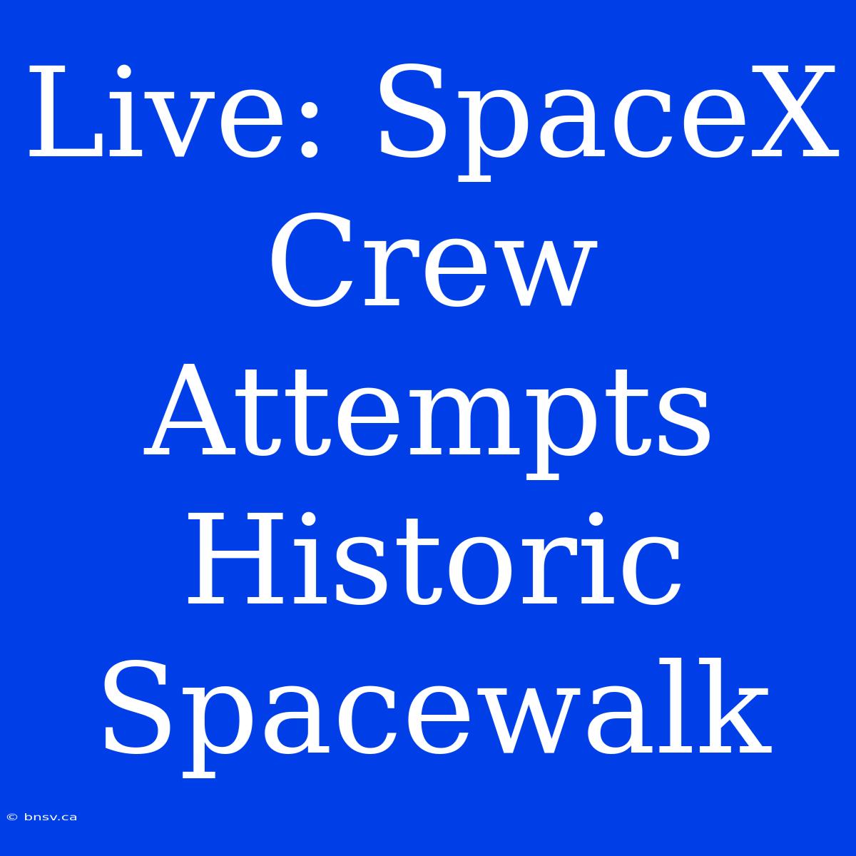 Live: SpaceX Crew Attempts Historic Spacewalk