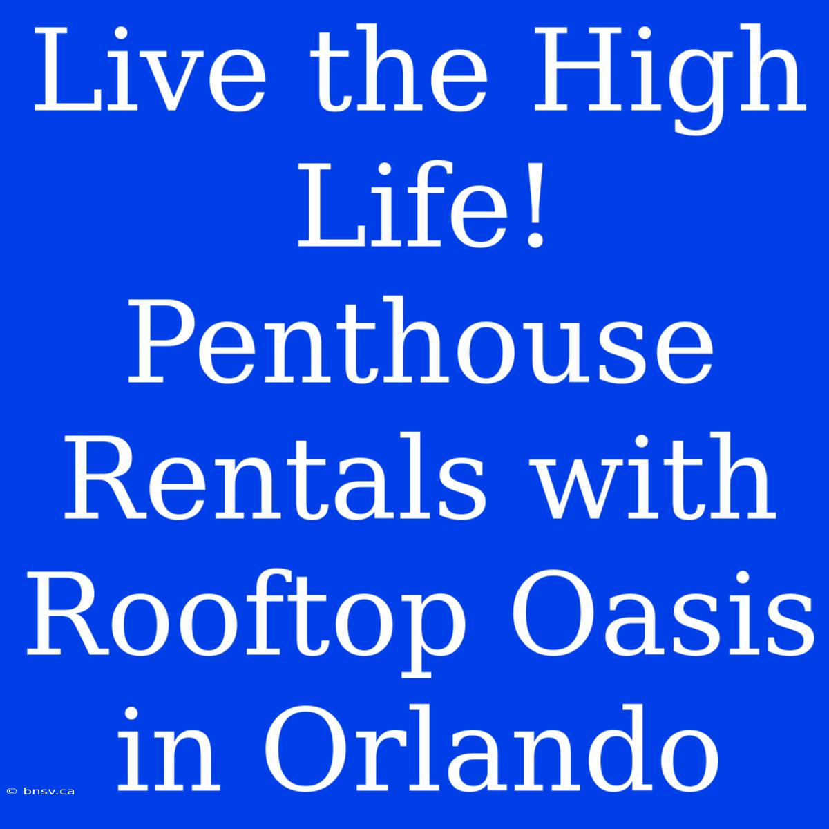 Live The High Life! Penthouse Rentals With Rooftop Oasis In Orlando