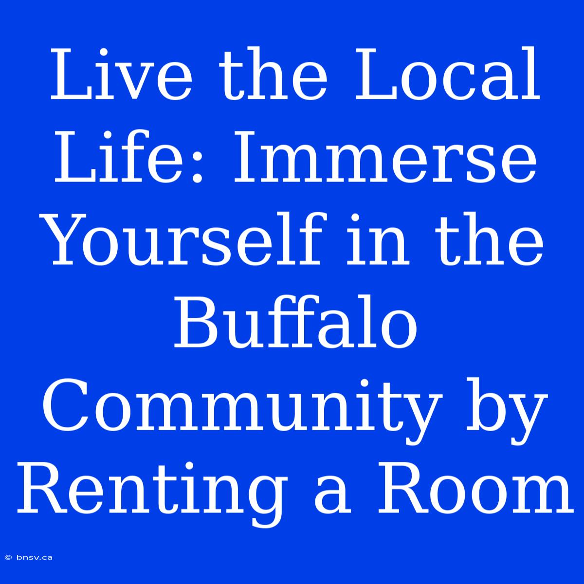 Live The Local Life: Immerse Yourself In The Buffalo Community By Renting A Room