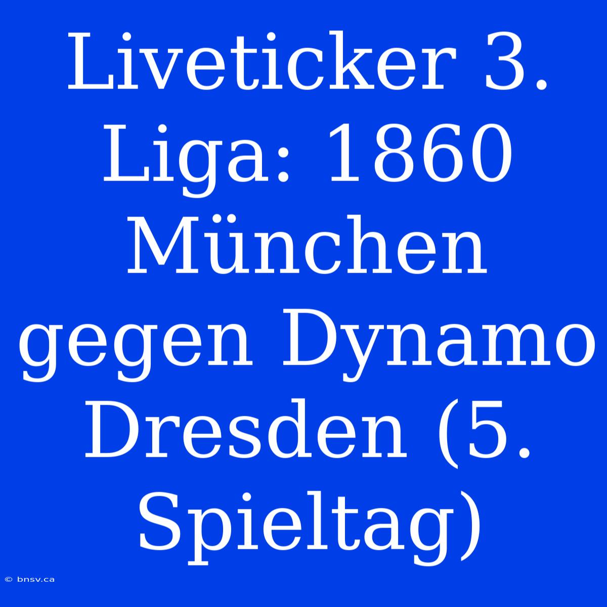 Liveticker 3. Liga: 1860 München Gegen Dynamo Dresden (5. Spieltag)