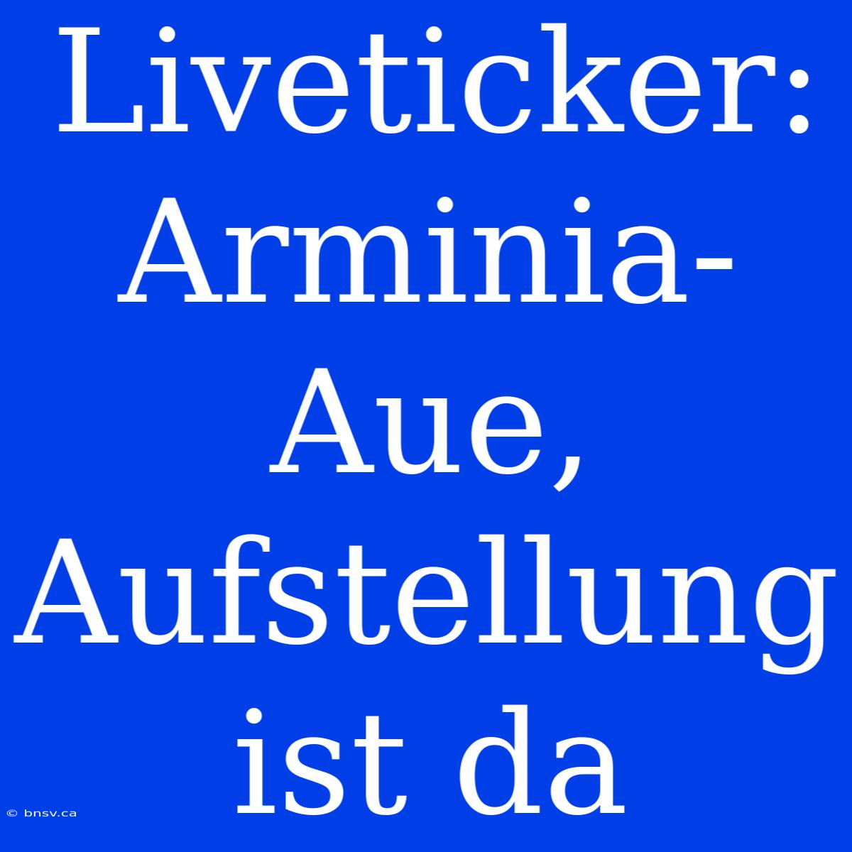 Liveticker: Arminia-Aue, Aufstellung Ist Da