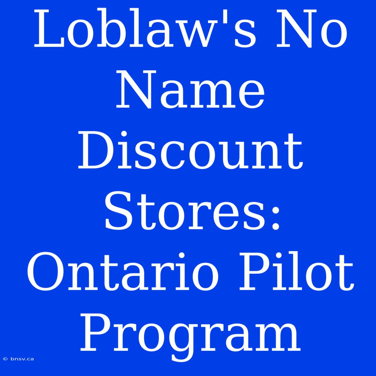 Loblaw's No Name Discount Stores: Ontario Pilot Program