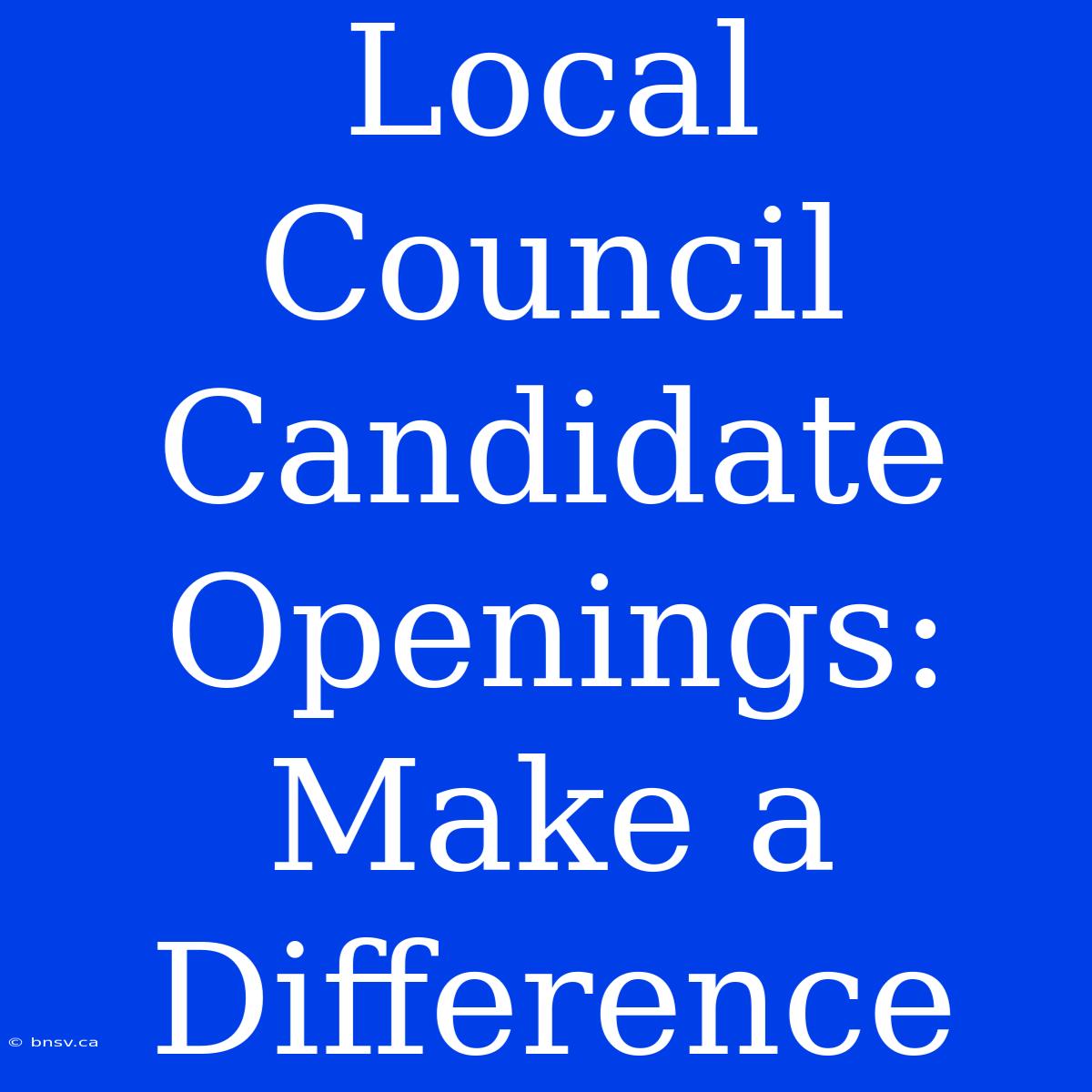 Local Council Candidate Openings: Make A Difference