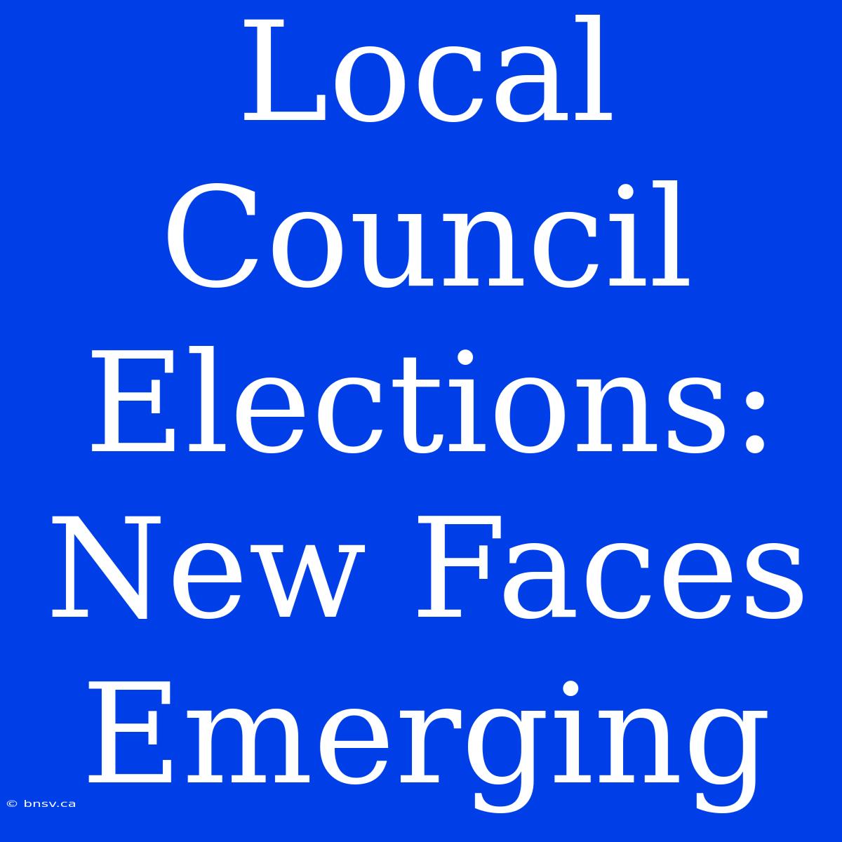 Local Council Elections: New Faces Emerging