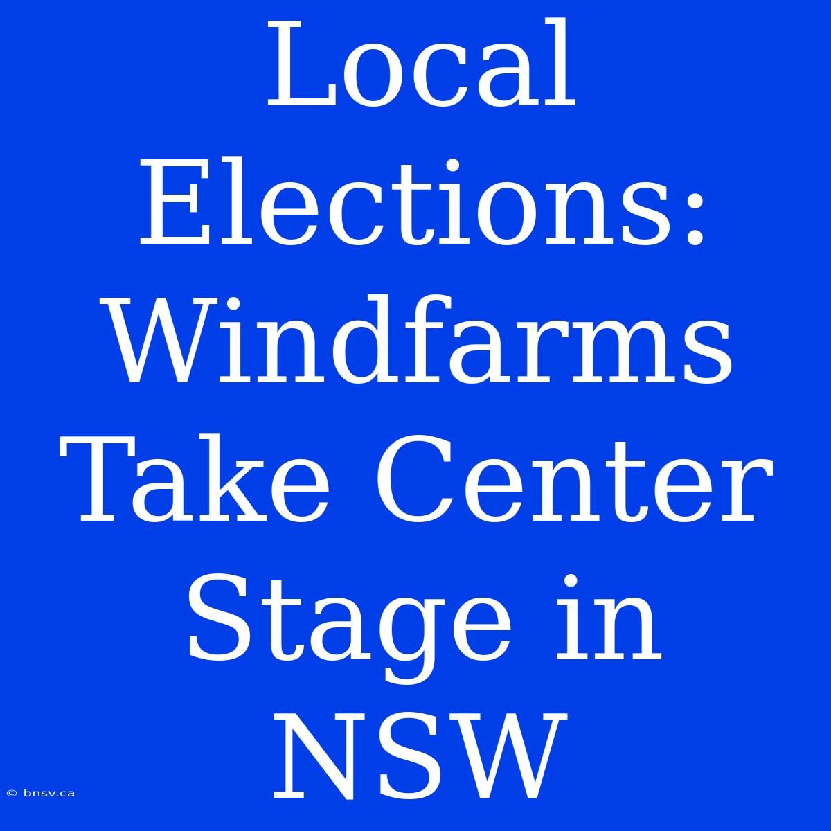 Local Elections: Windfarms Take Center Stage In NSW