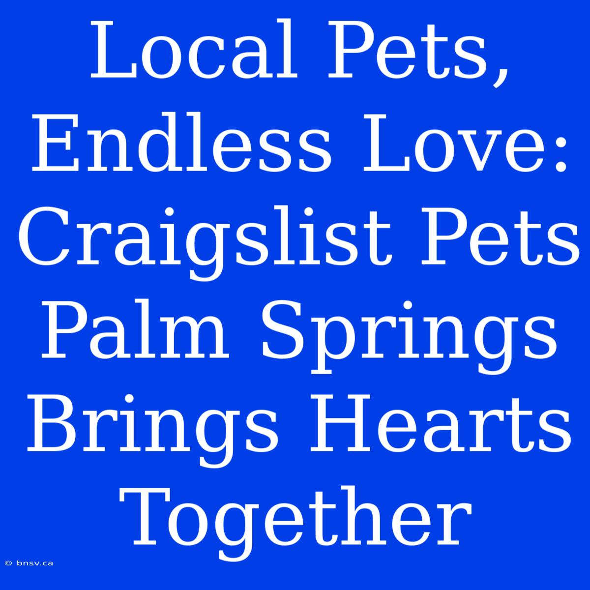 Local Pets, Endless Love: Craigslist Pets Palm Springs Brings Hearts Together