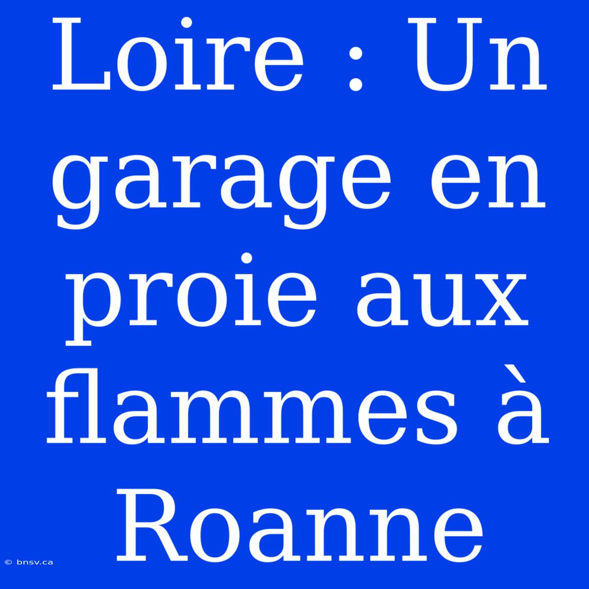 Loire : Un Garage En Proie Aux Flammes À Roanne