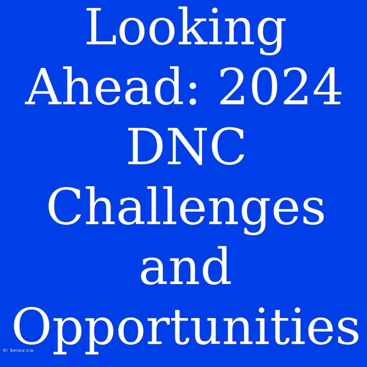 Looking Ahead: 2024 DNC Challenges And Opportunities