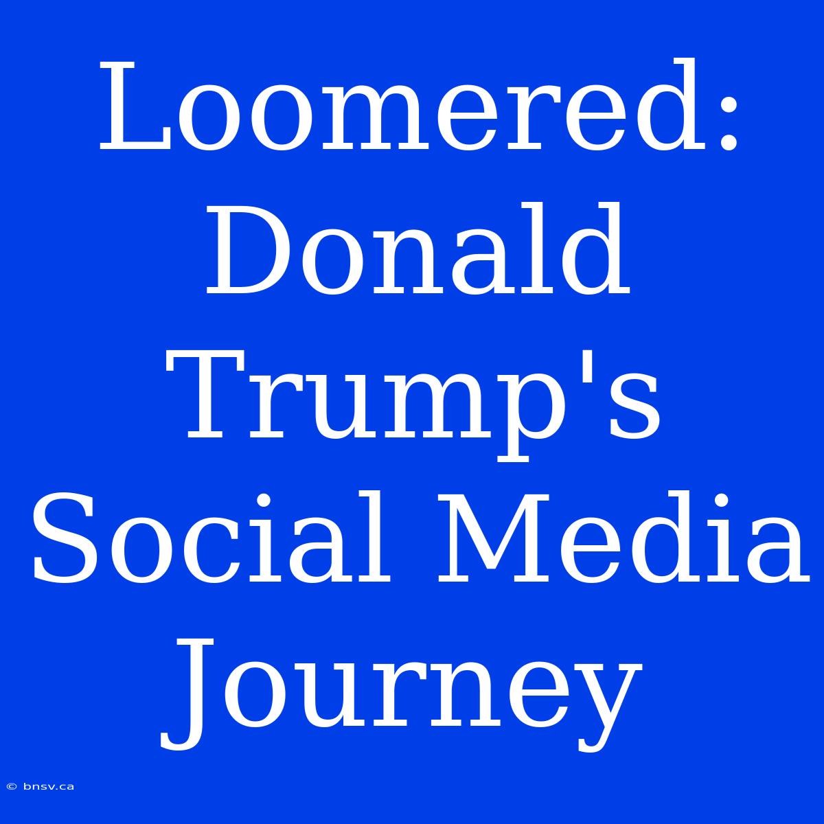 Loomered: Donald Trump's Social Media Journey