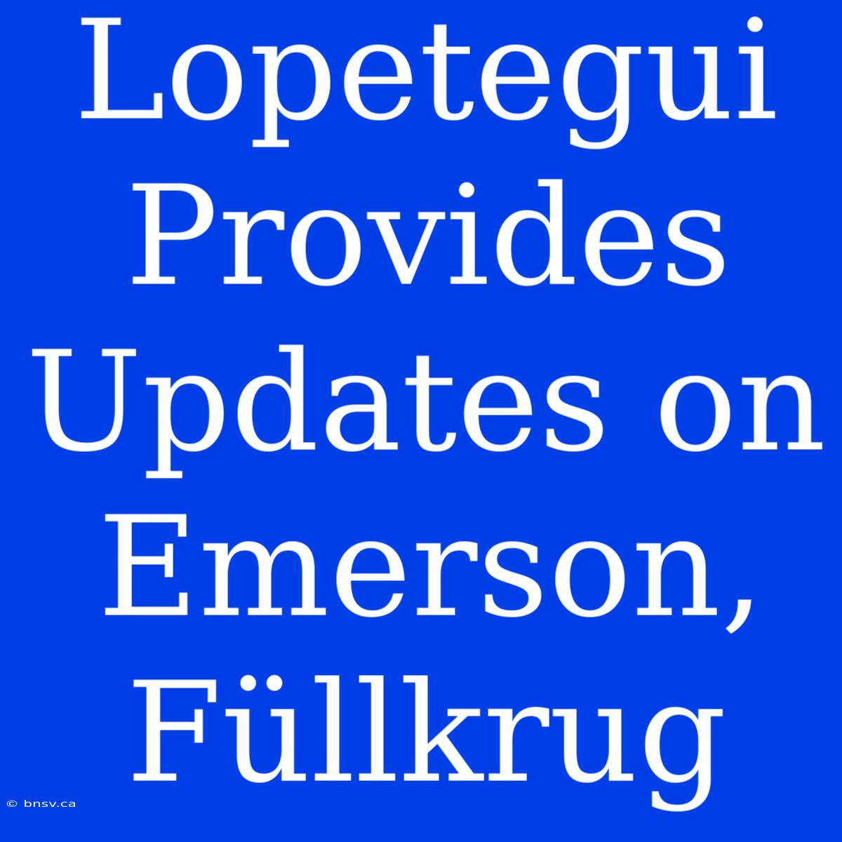 Lopetegui Provides Updates On Emerson, Füllkrug