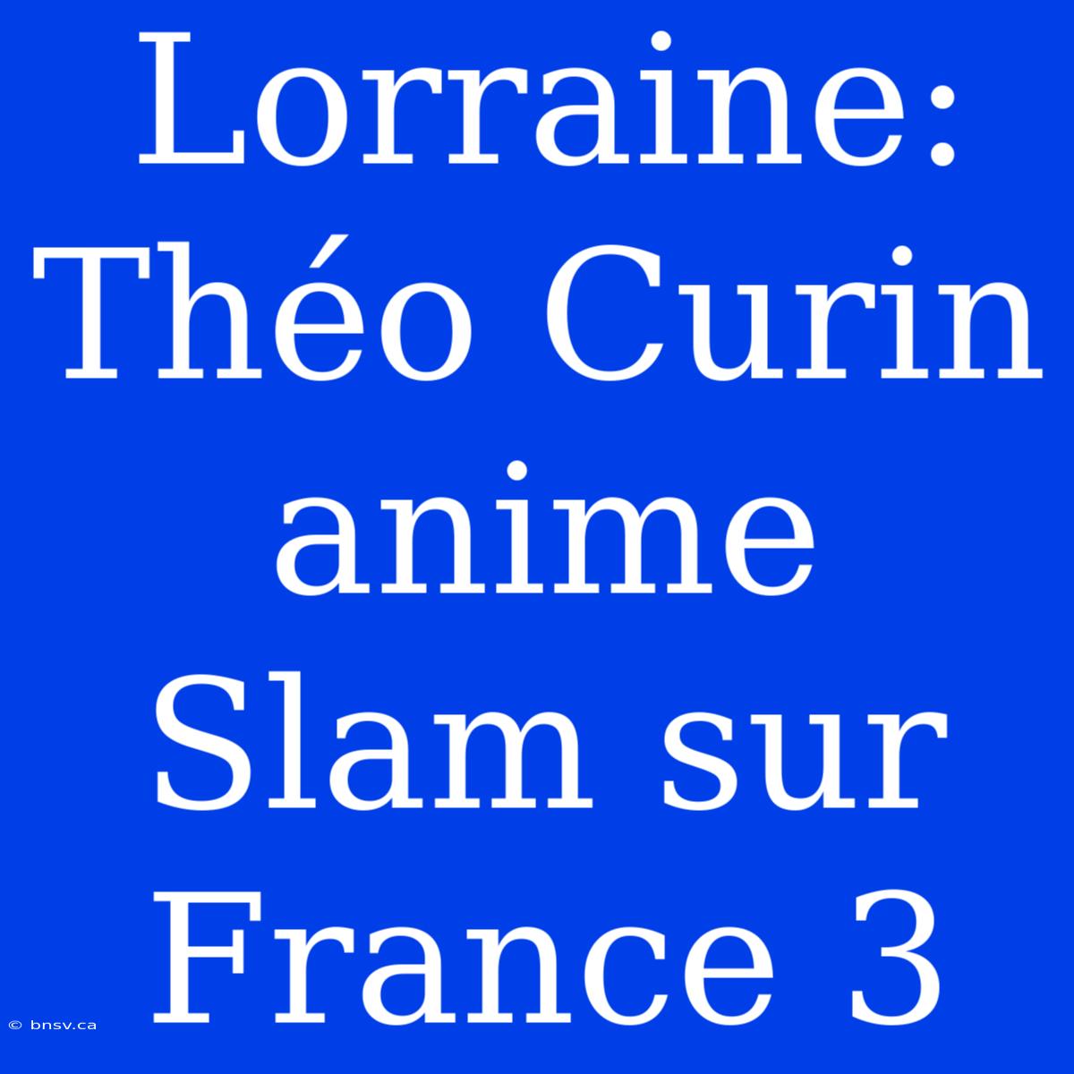 Lorraine: Théo Curin Anime Slam Sur France 3