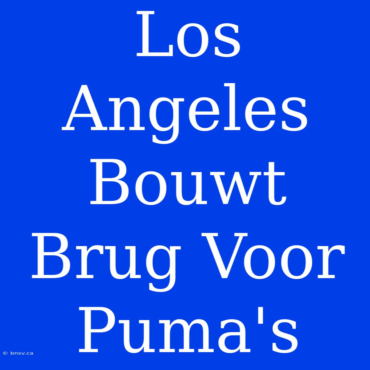 Los Angeles Bouwt Brug Voor Puma's