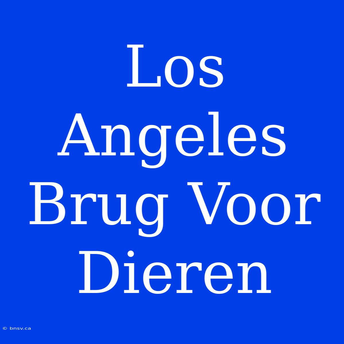 Los Angeles Brug Voor Dieren