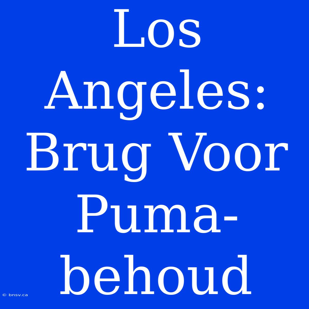 Los Angeles: Brug Voor Puma-behoud