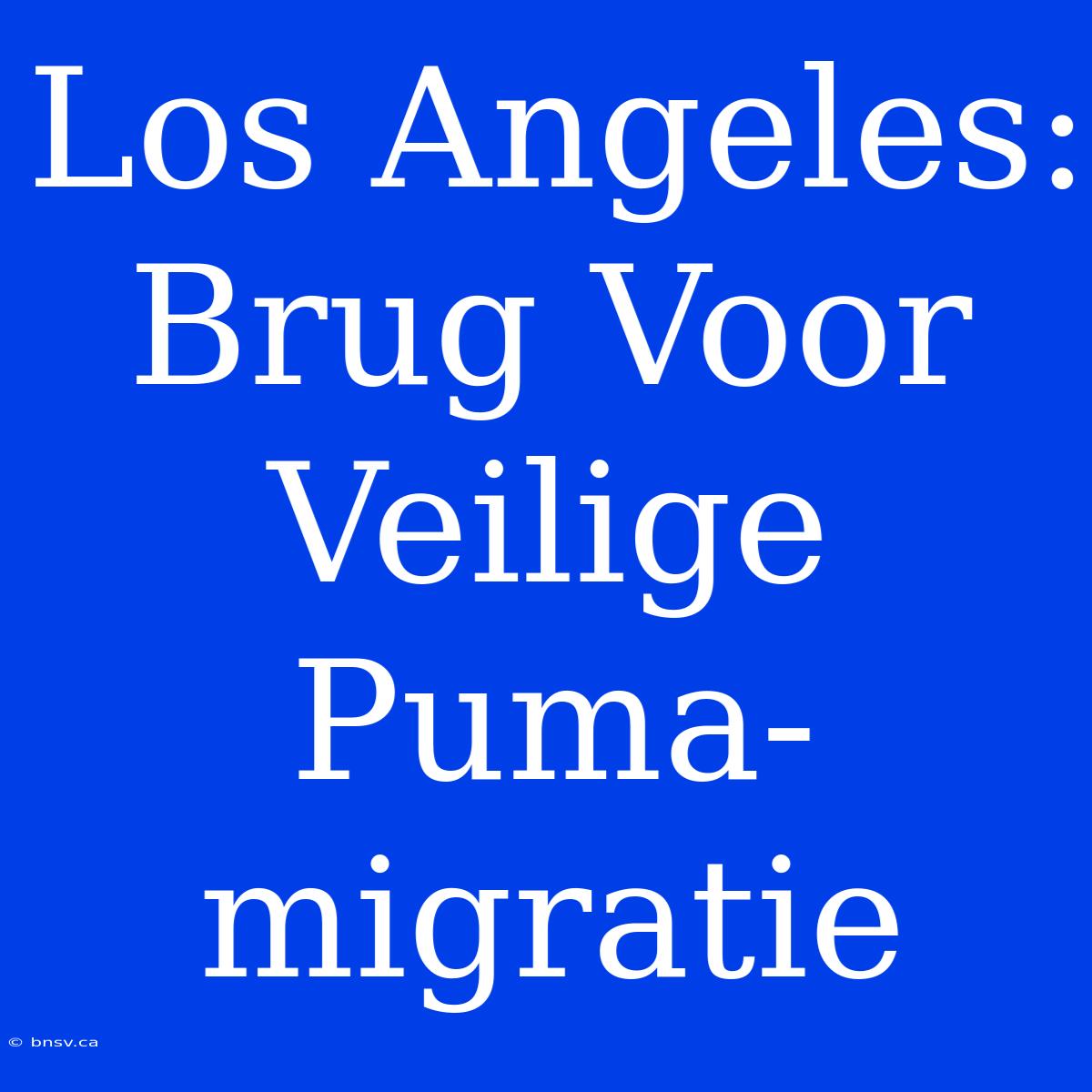 Los Angeles: Brug Voor Veilige Puma-migratie