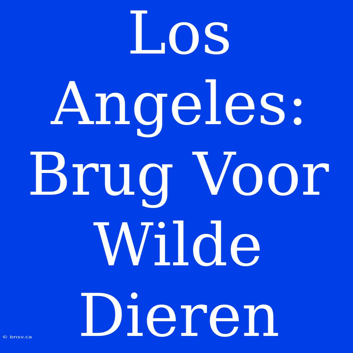 Los Angeles: Brug Voor Wilde Dieren