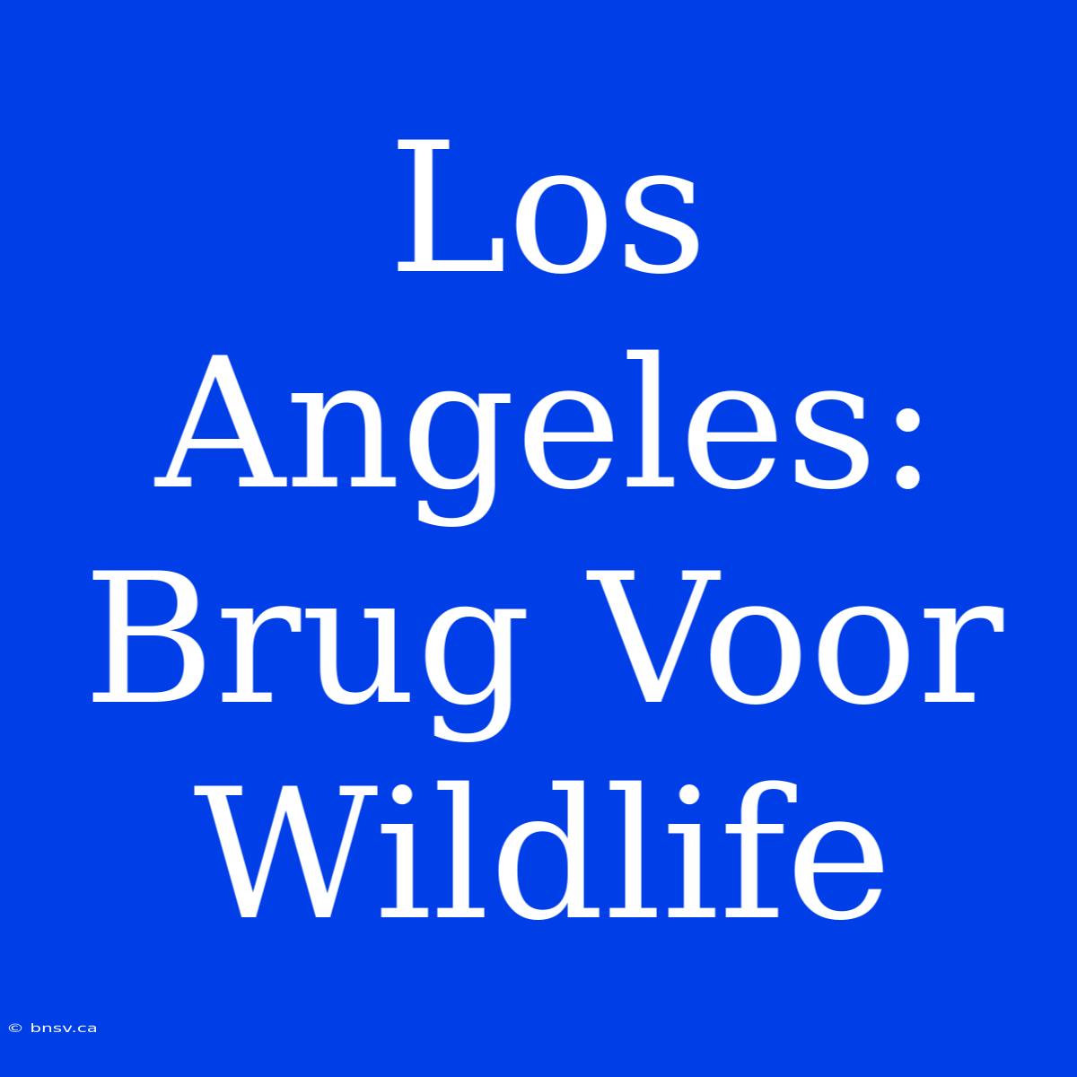 Los Angeles: Brug Voor Wildlife