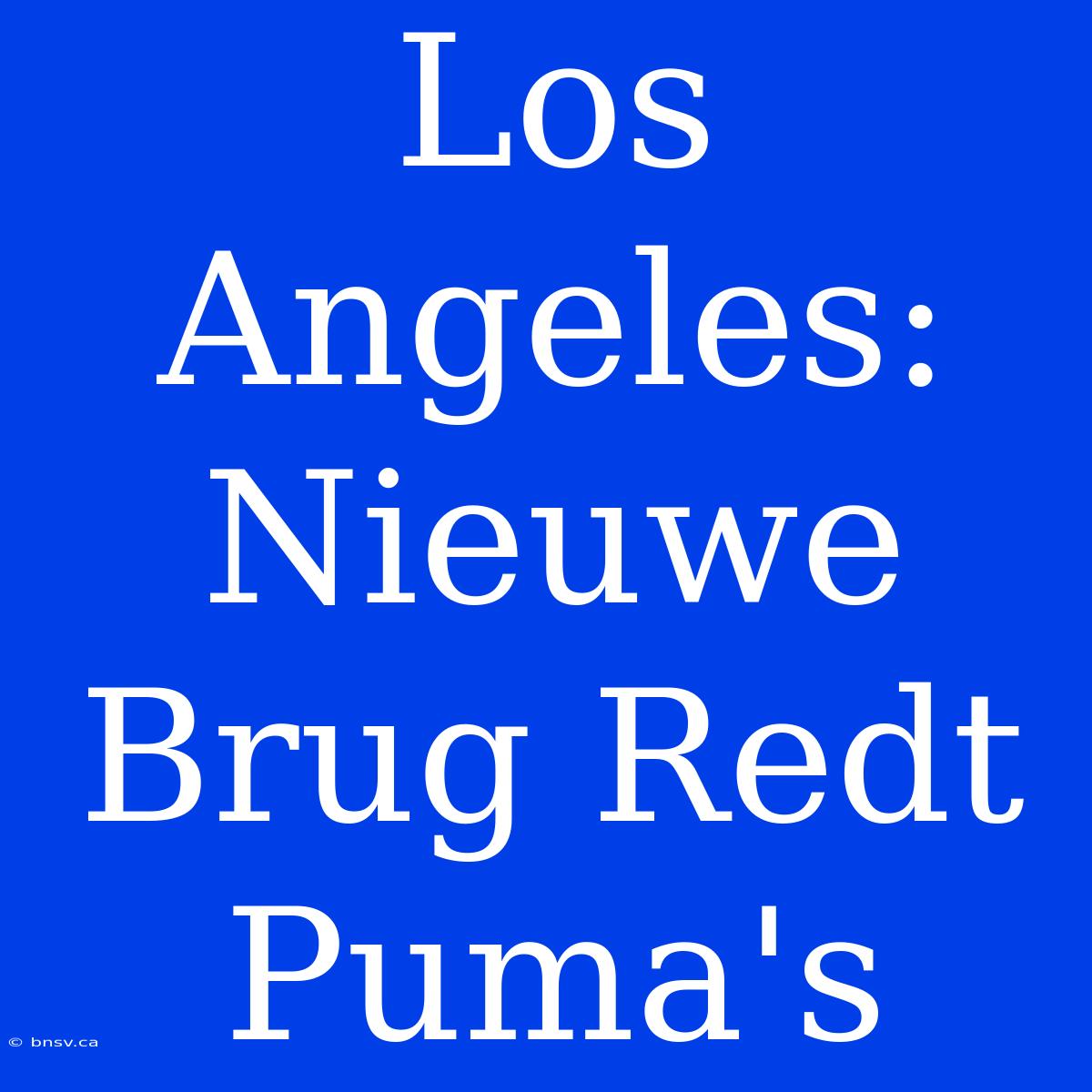 Los Angeles: Nieuwe Brug Redt Puma's