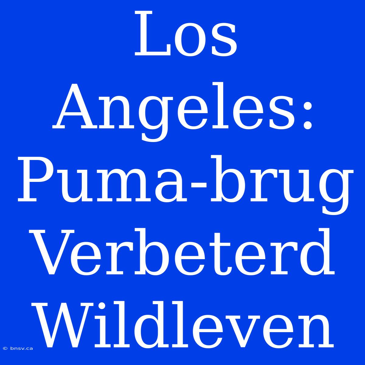 Los Angeles: Puma-brug Verbeterd Wildleven