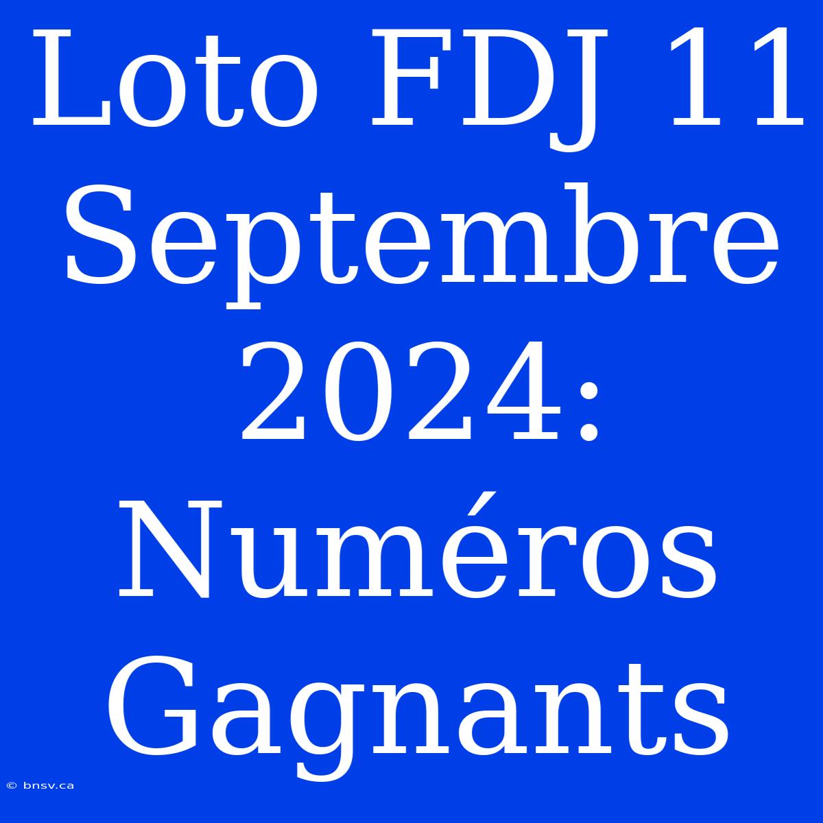 Loto FDJ 11 Septembre 2024: Numéros Gagnants