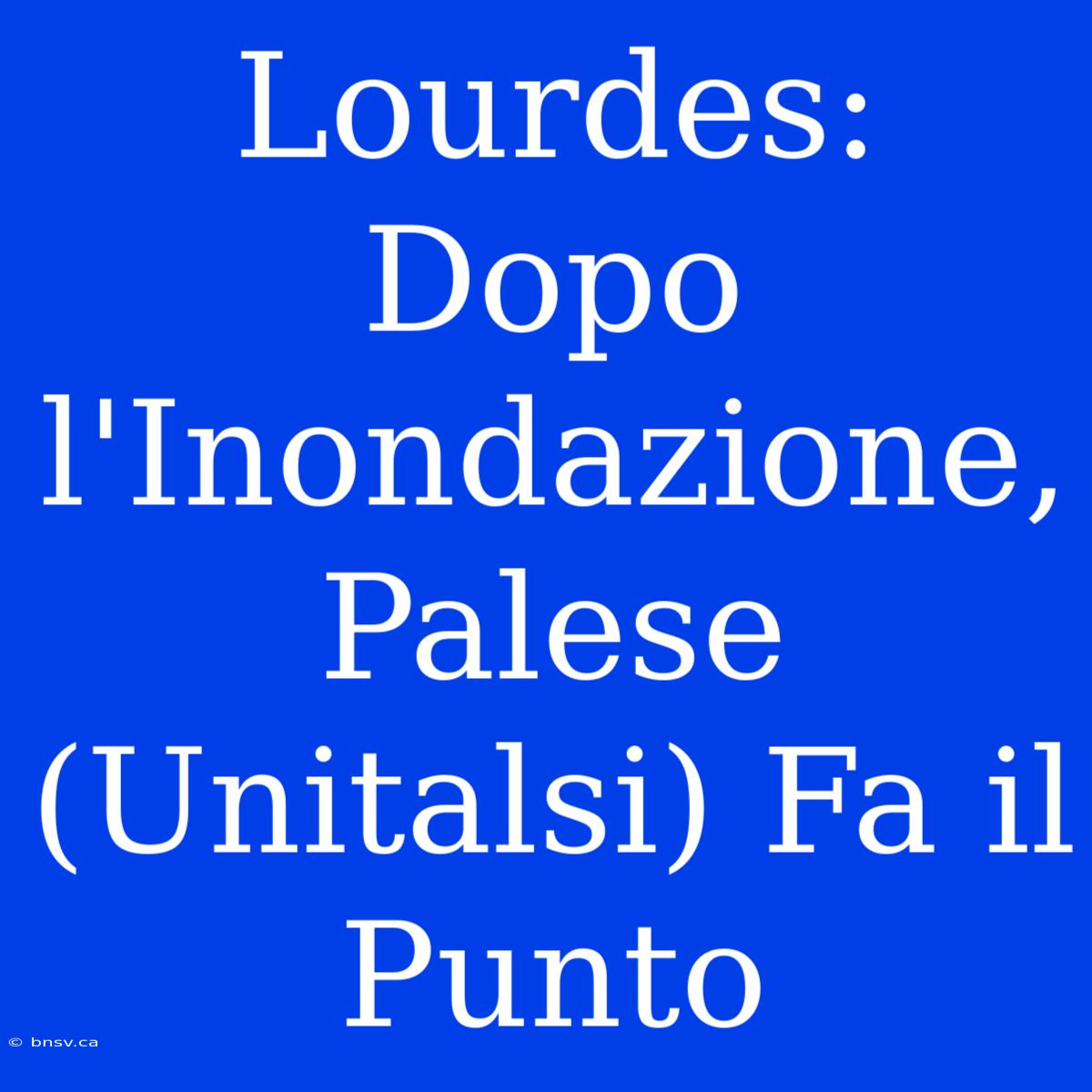 Lourdes: Dopo L'Inondazione, Palese (Unitalsi) Fa Il Punto