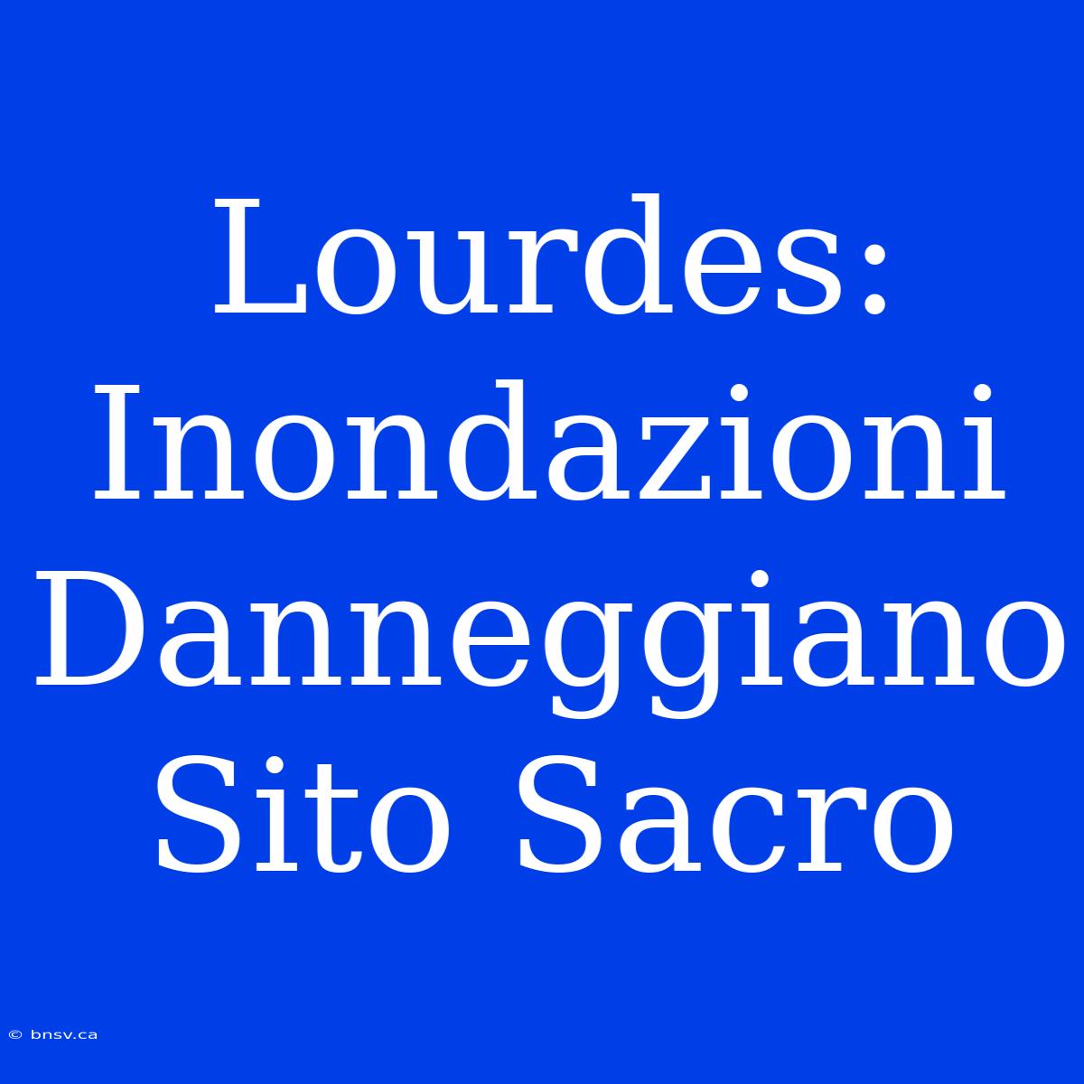 Lourdes: Inondazioni Danneggiano Sito Sacro