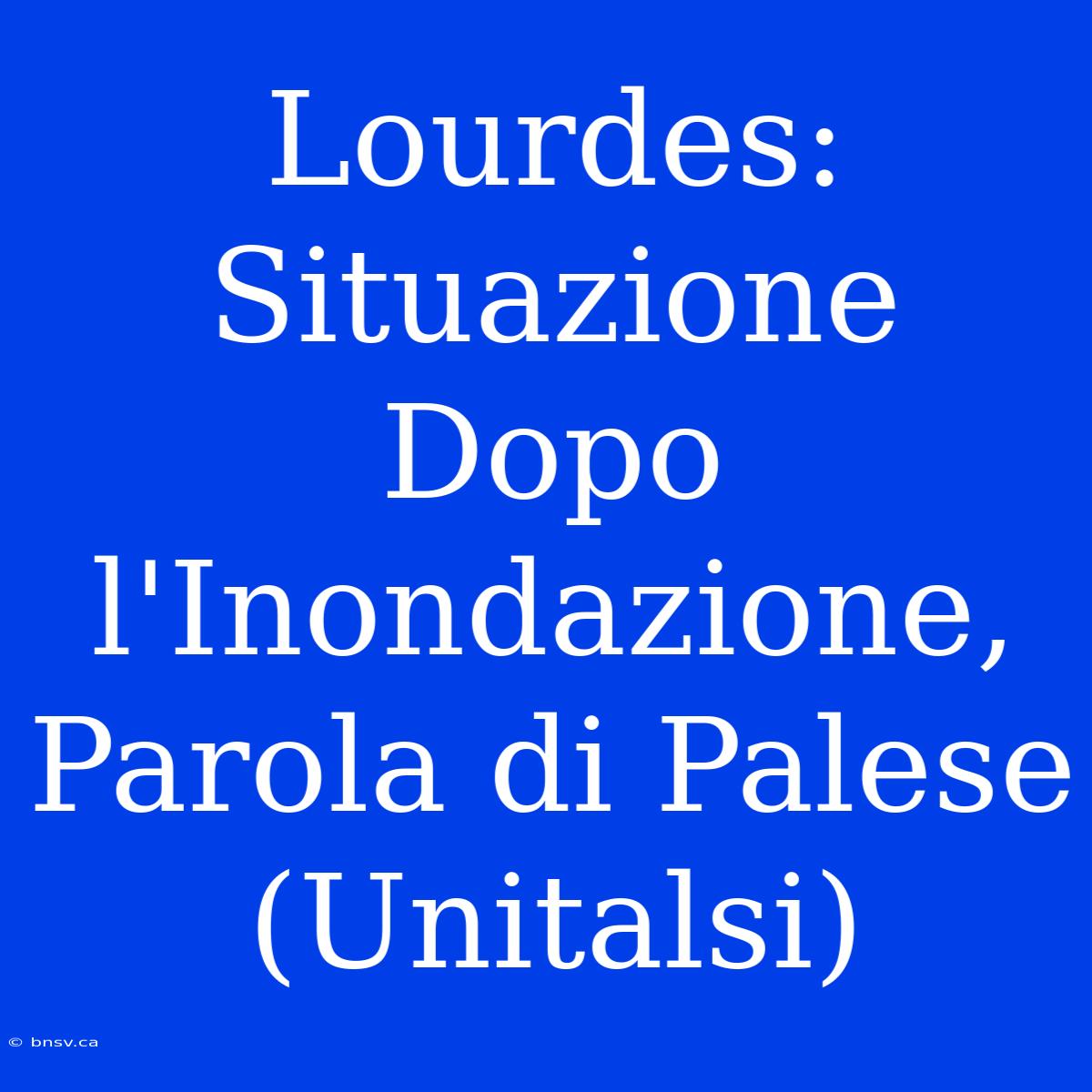 Lourdes: Situazione Dopo L'Inondazione, Parola Di Palese (Unitalsi)