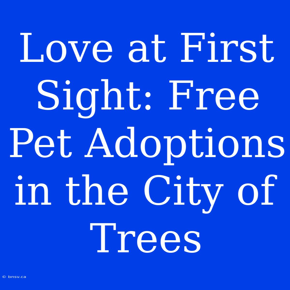 Love At First Sight: Free Pet Adoptions In The City Of Trees