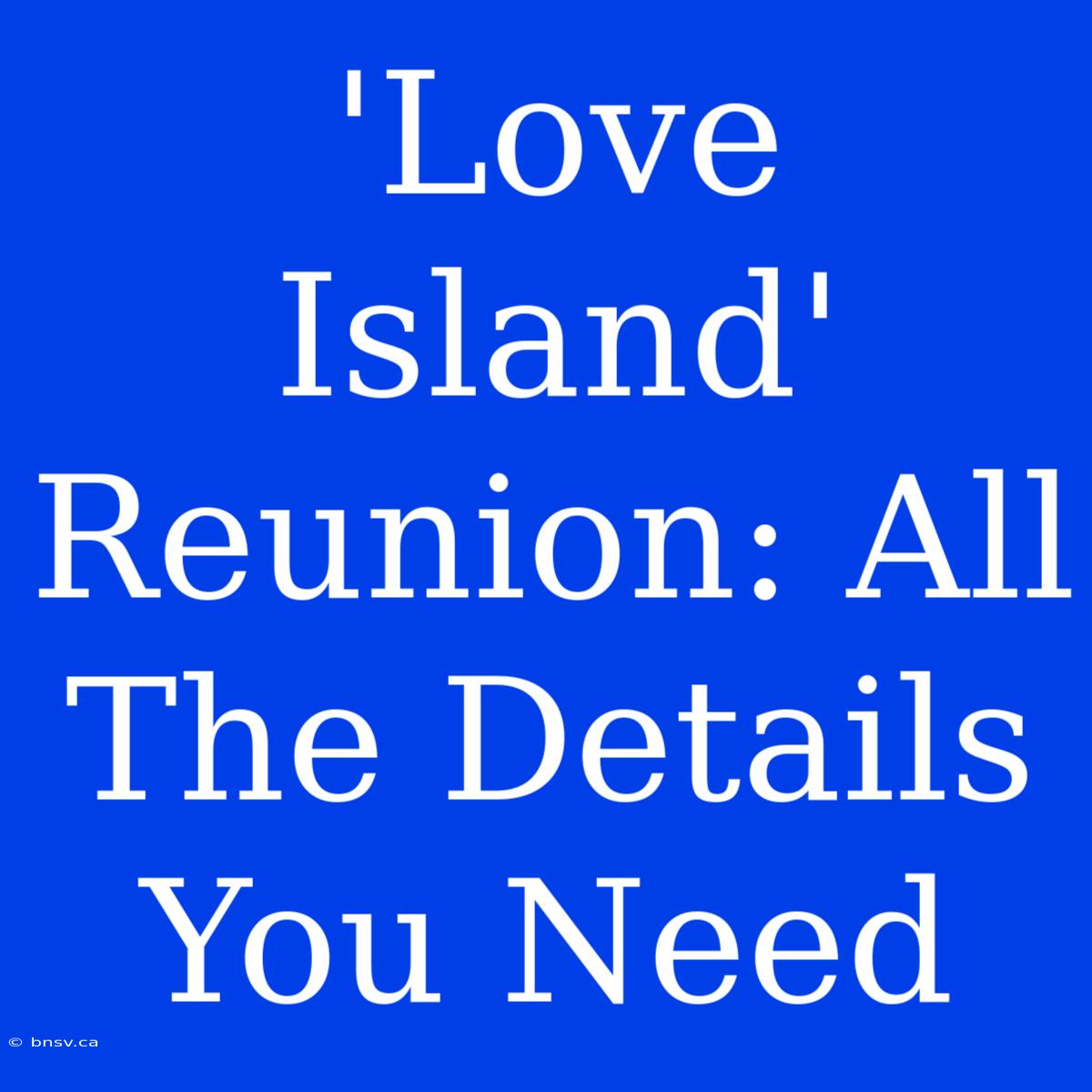 'Love Island' Reunion: All The Details You Need