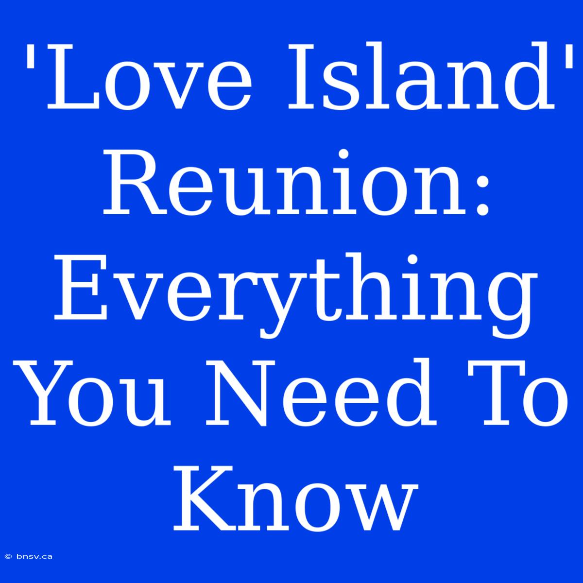 'Love Island' Reunion: Everything You Need To Know