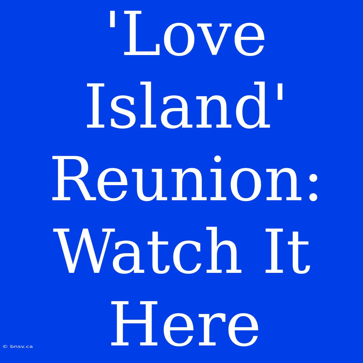 'Love Island' Reunion: Watch It Here