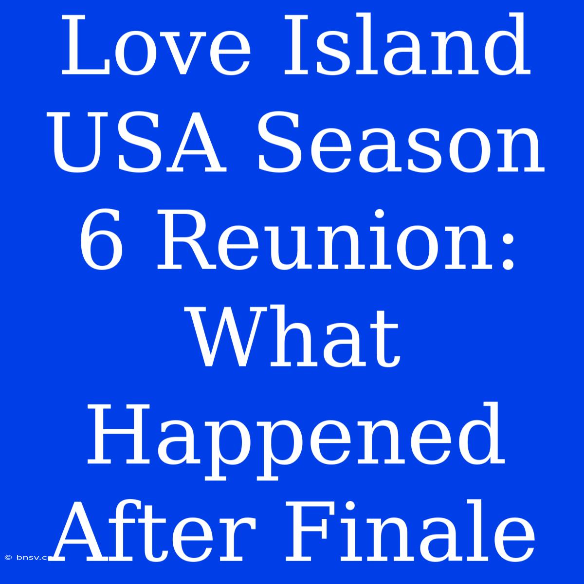 Love Island USA Season 6 Reunion: What Happened After Finale