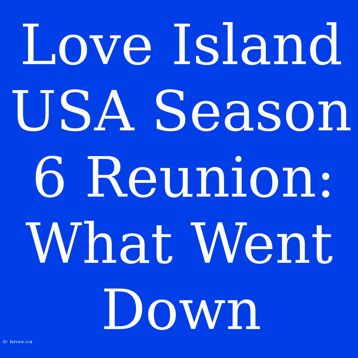 Love Island USA Season 6 Reunion: What Went Down