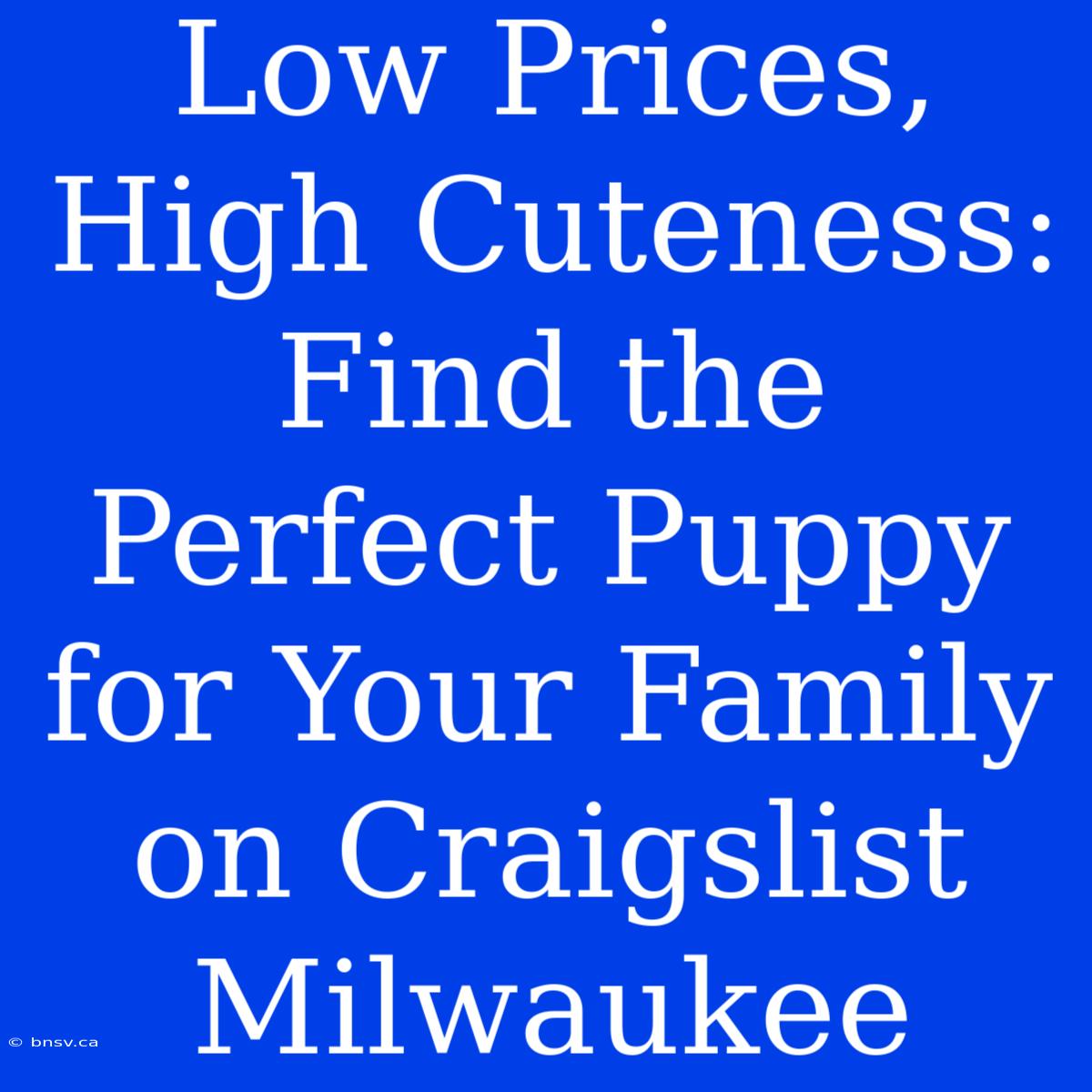 Low Prices, High Cuteness: Find The Perfect Puppy For Your Family On Craigslist Milwaukee