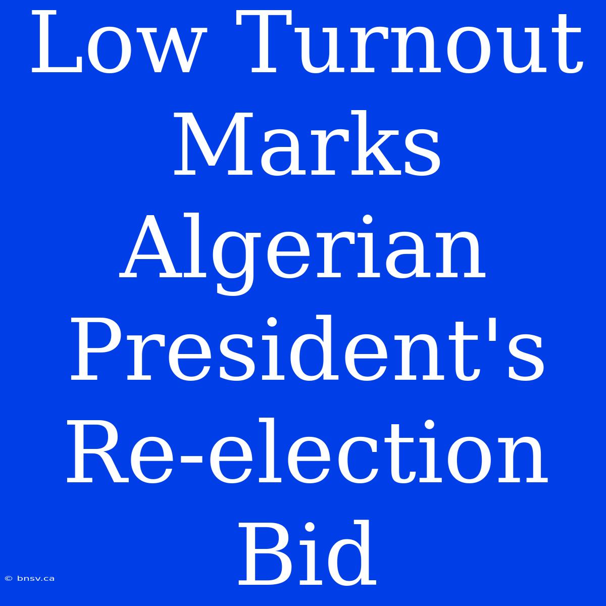 Low Turnout Marks Algerian President's Re-election Bid