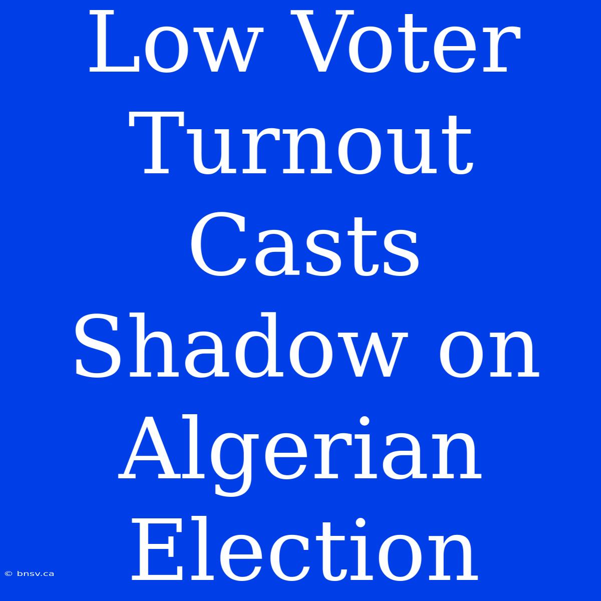 Low Voter Turnout Casts Shadow On Algerian Election