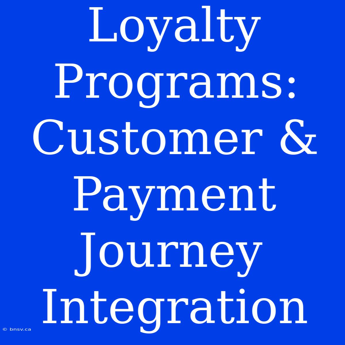 Loyalty Programs: Customer & Payment Journey Integration