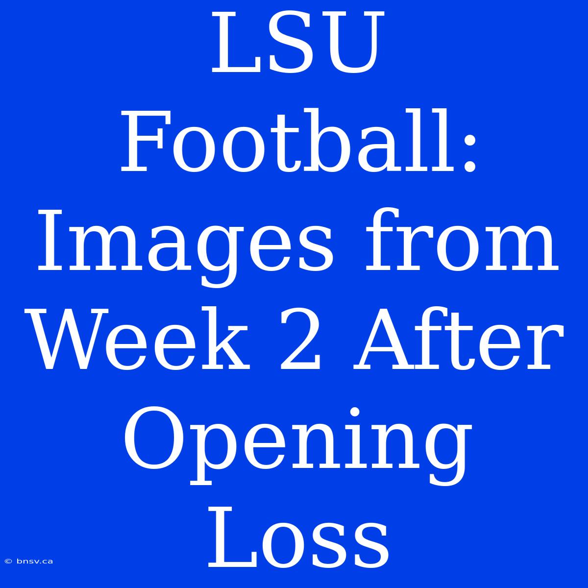 LSU Football: Images From Week 2 After Opening Loss