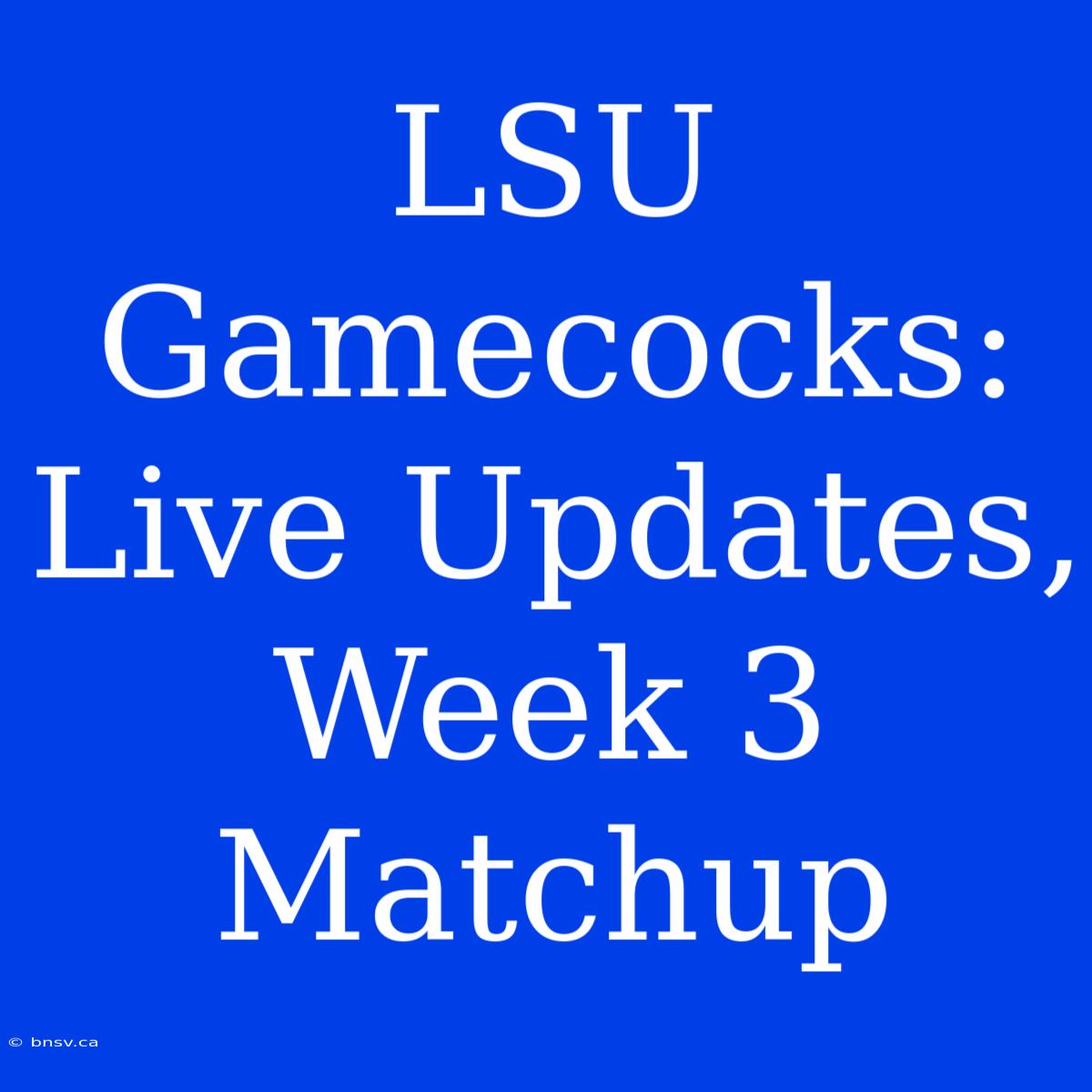 LSU Gamecocks: Live Updates, Week 3 Matchup