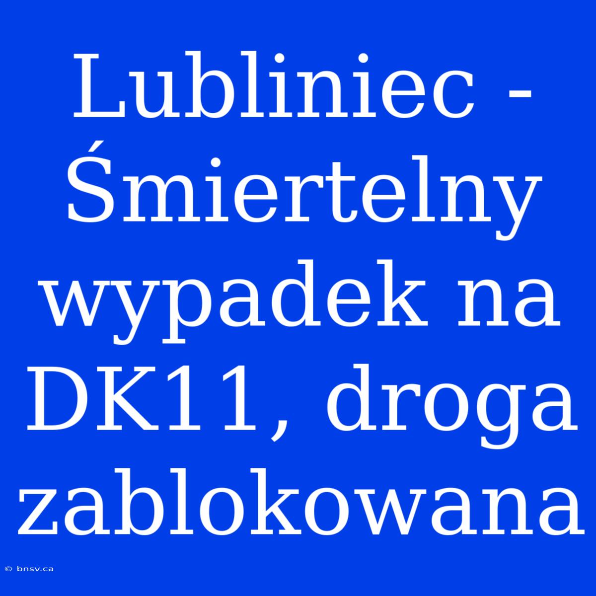 Lubliniec - Śmiertelny Wypadek Na DK11, Droga Zablokowana