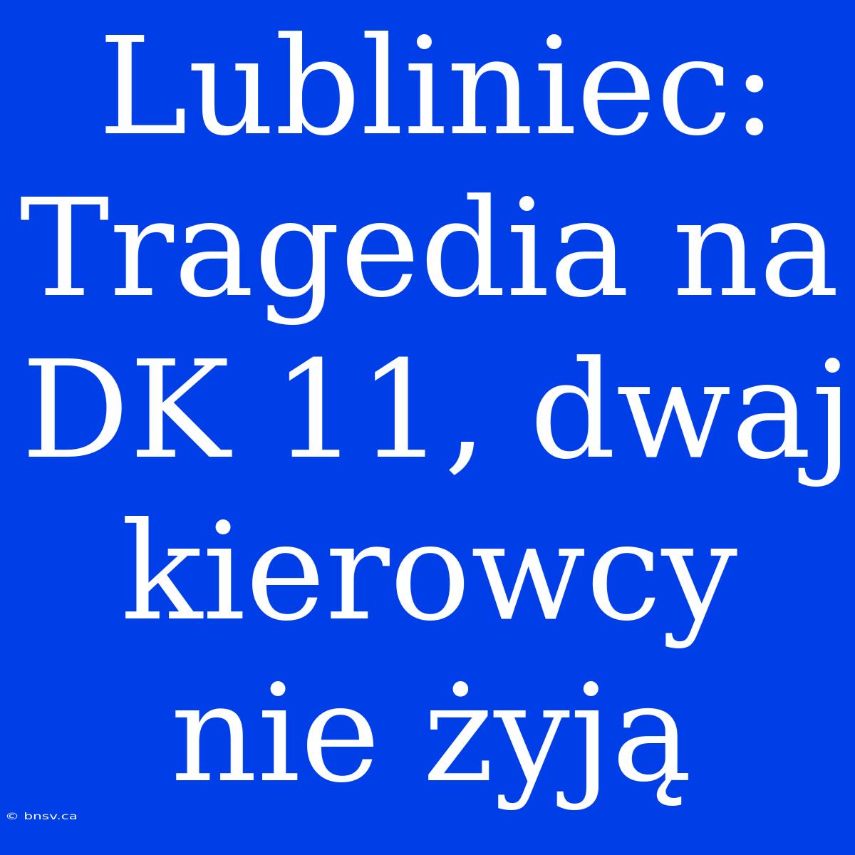 Lubliniec: Tragedia Na DK 11, Dwaj Kierowcy Nie Żyją