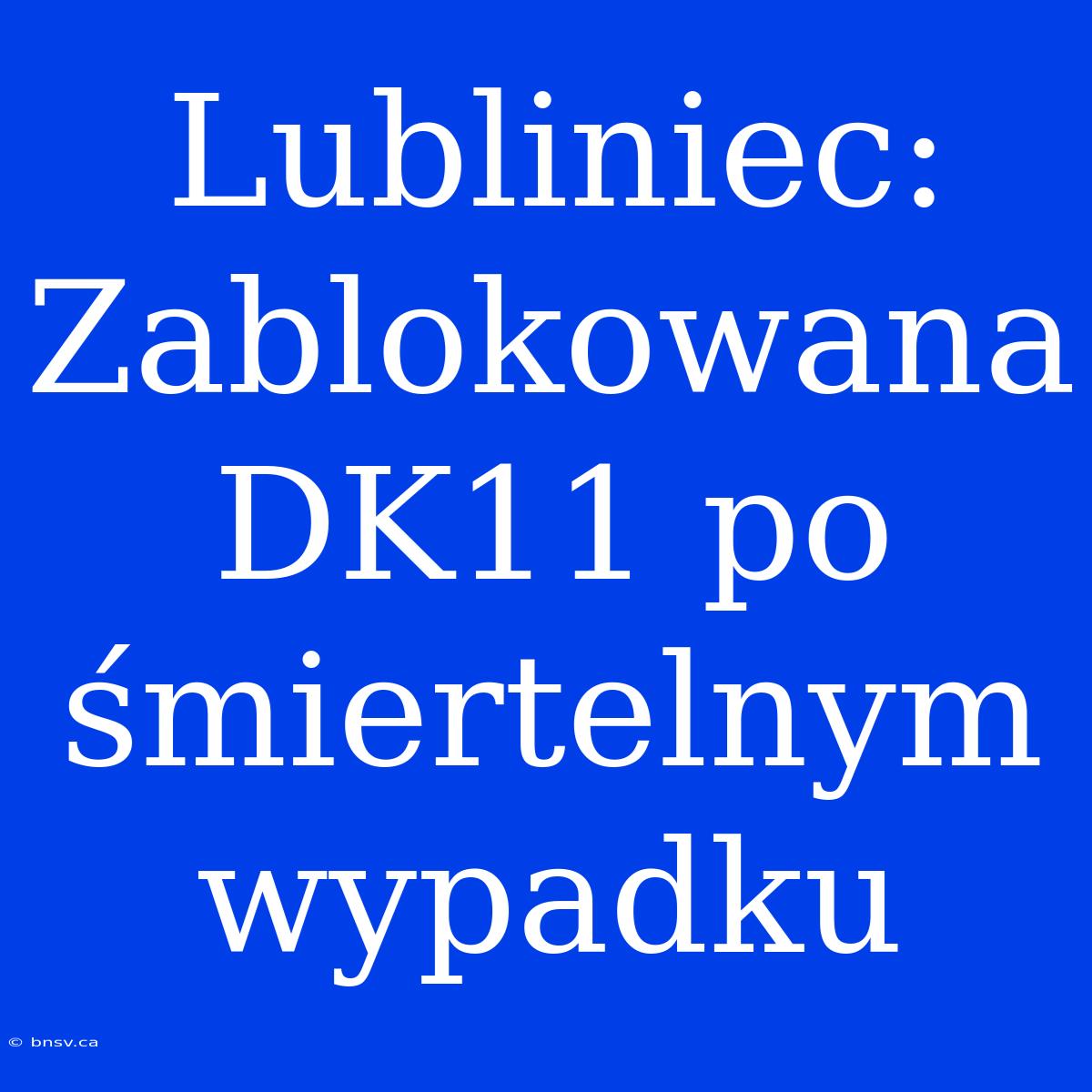 Lubliniec: Zablokowana DK11 Po Śmiertelnym Wypadku