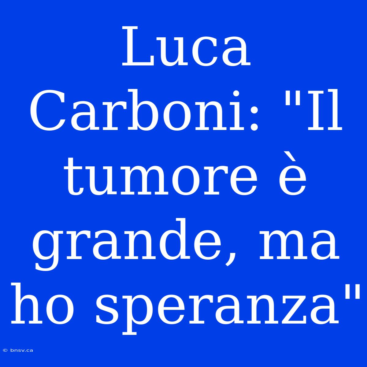 Luca Carboni: 