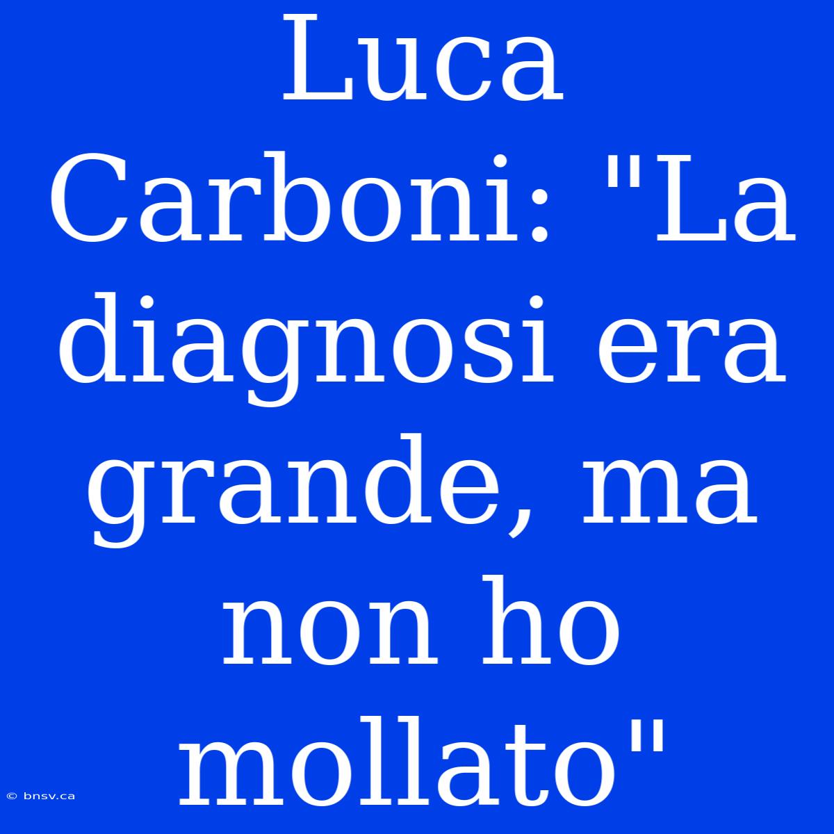 Luca Carboni: 