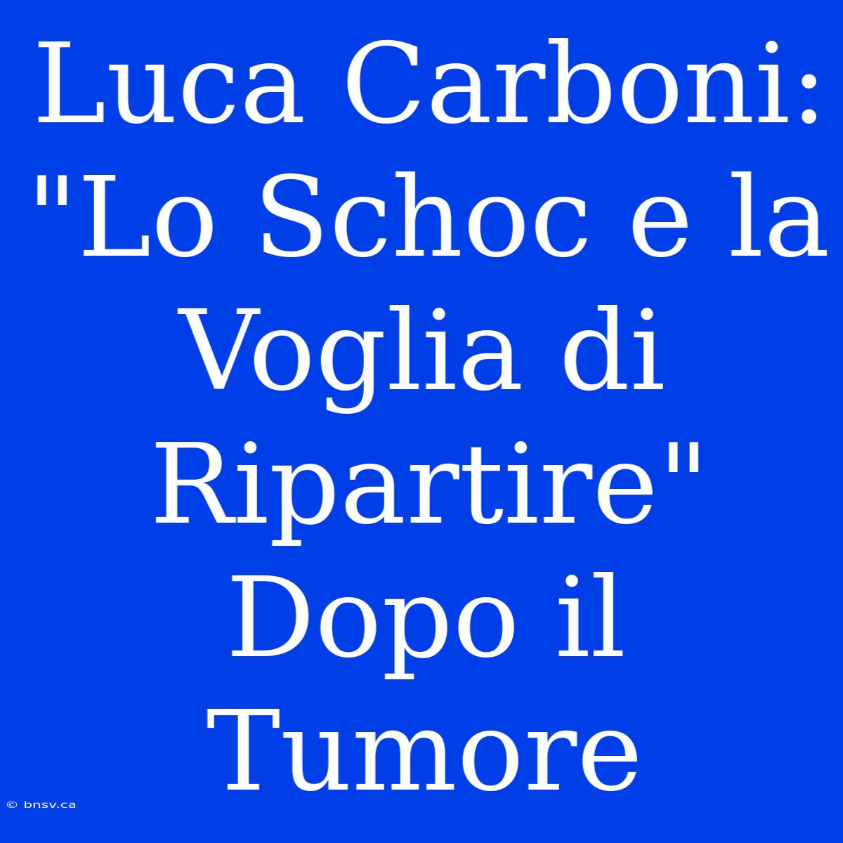 Luca Carboni:  