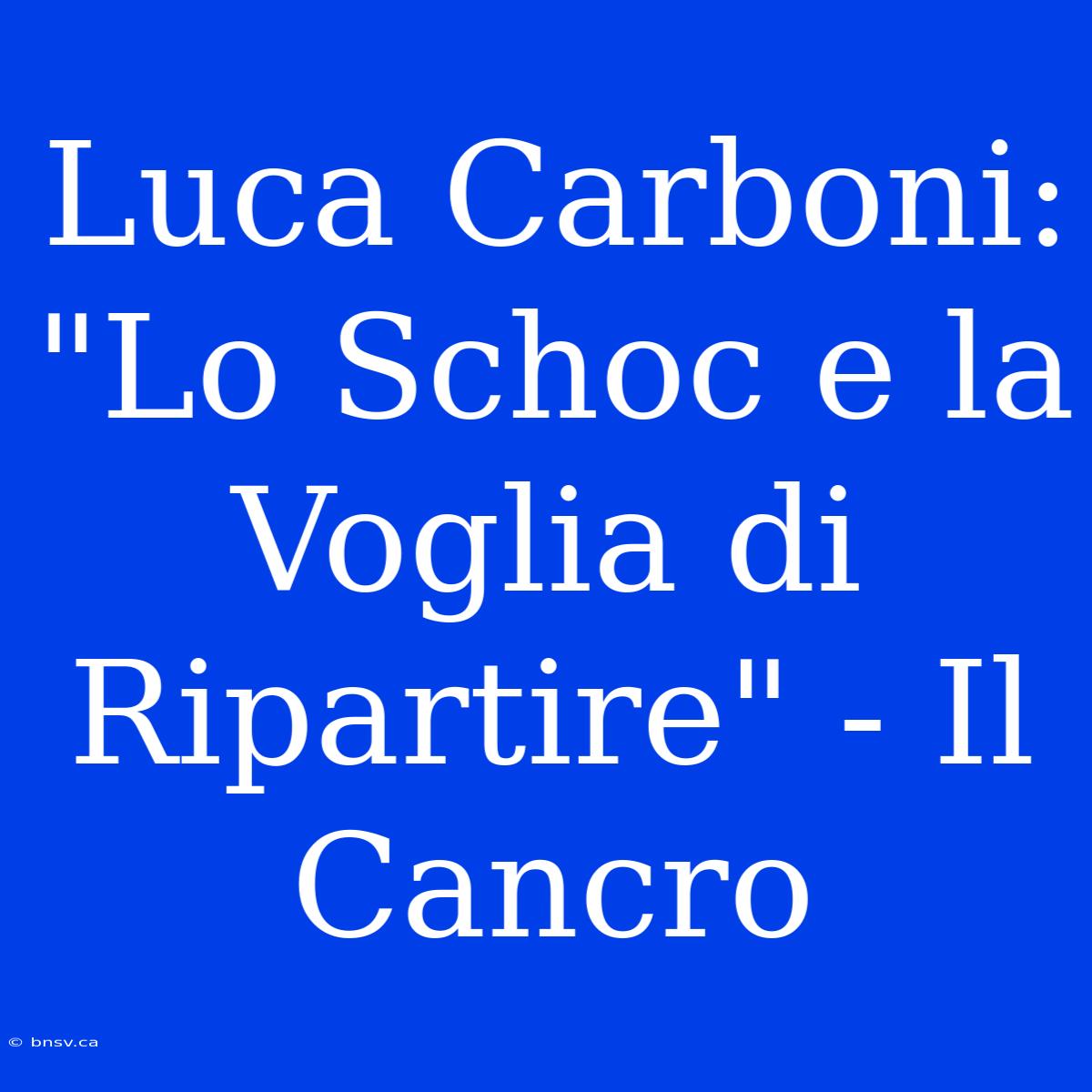 Luca Carboni:  