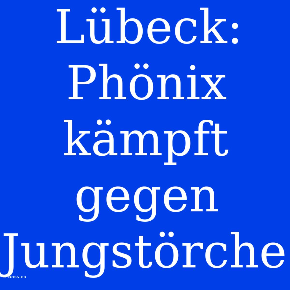 Lübeck: Phönix Kämpft Gegen Jungstörche