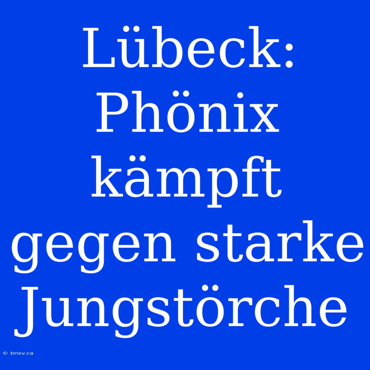 Lübeck: Phönix Kämpft Gegen Starke Jungstörche